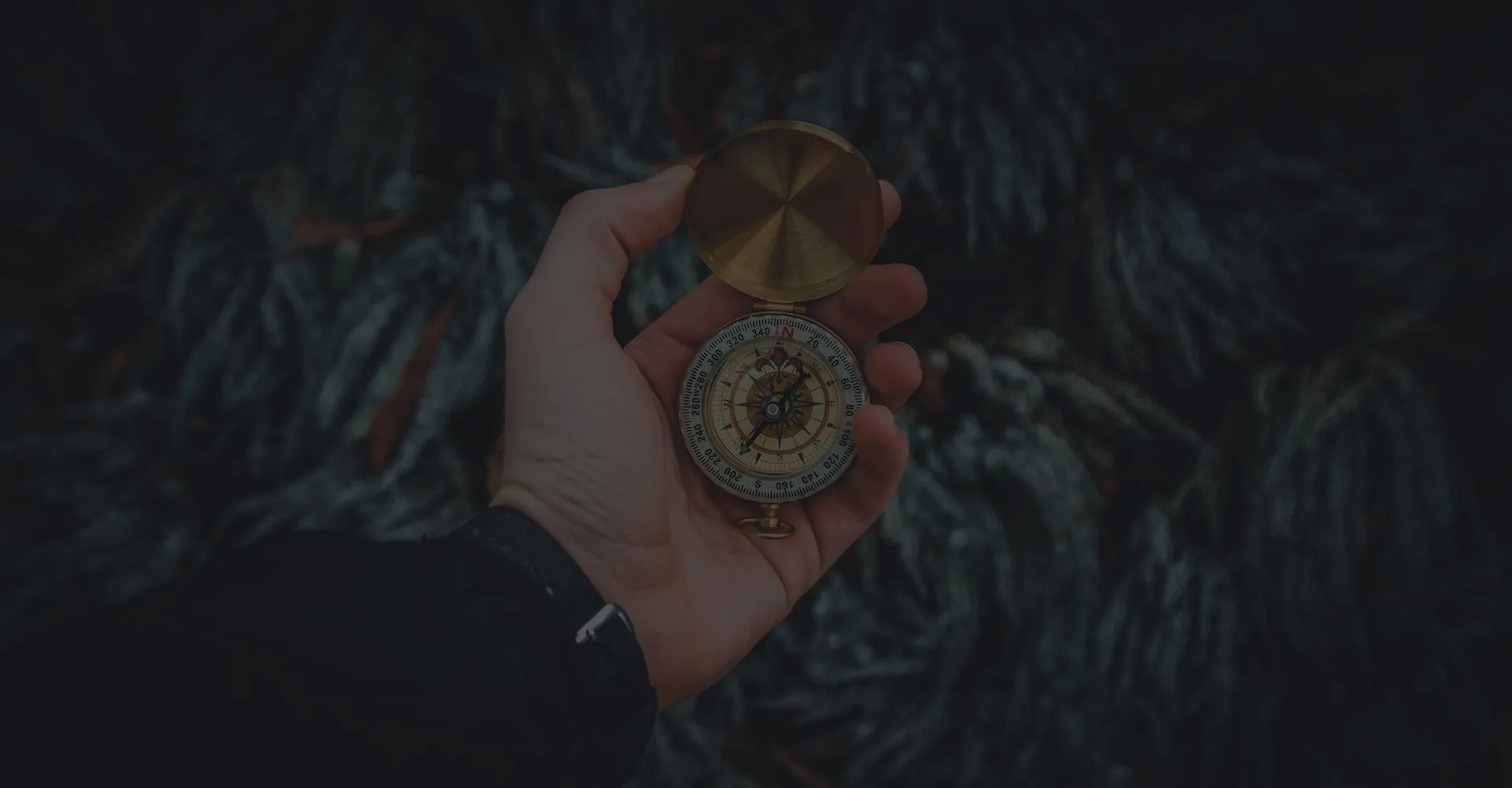 ENHANCE YOUR CAREER GUIDANCE PROFILE